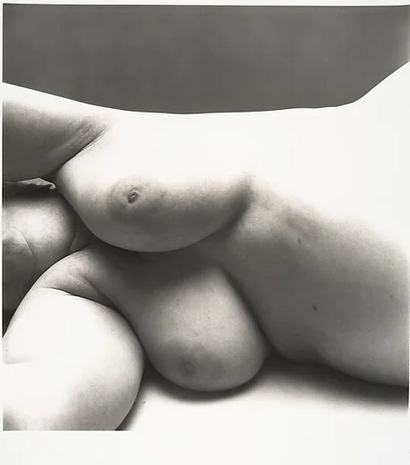 Nude No. 102
