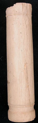 Bone Fragment