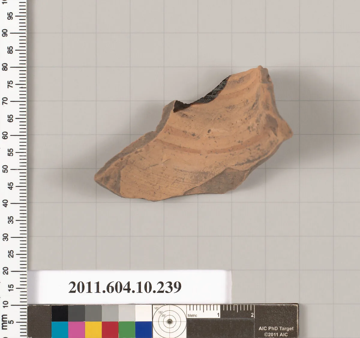 Terracotta fragment of an oinochoe (jug) — Unknown