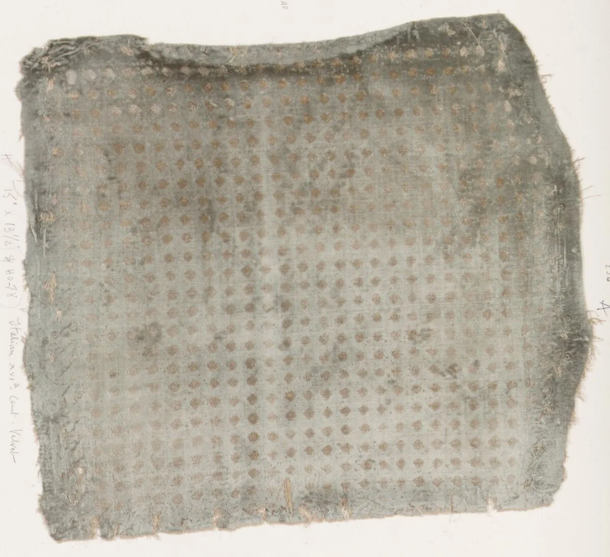 Fragment — Unknown