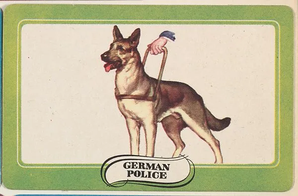 German Police, bakery insert card from the Dogs series (D26), issued by the Omar Baking Company — Omar Baking Company