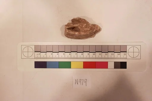Stucco Fragment