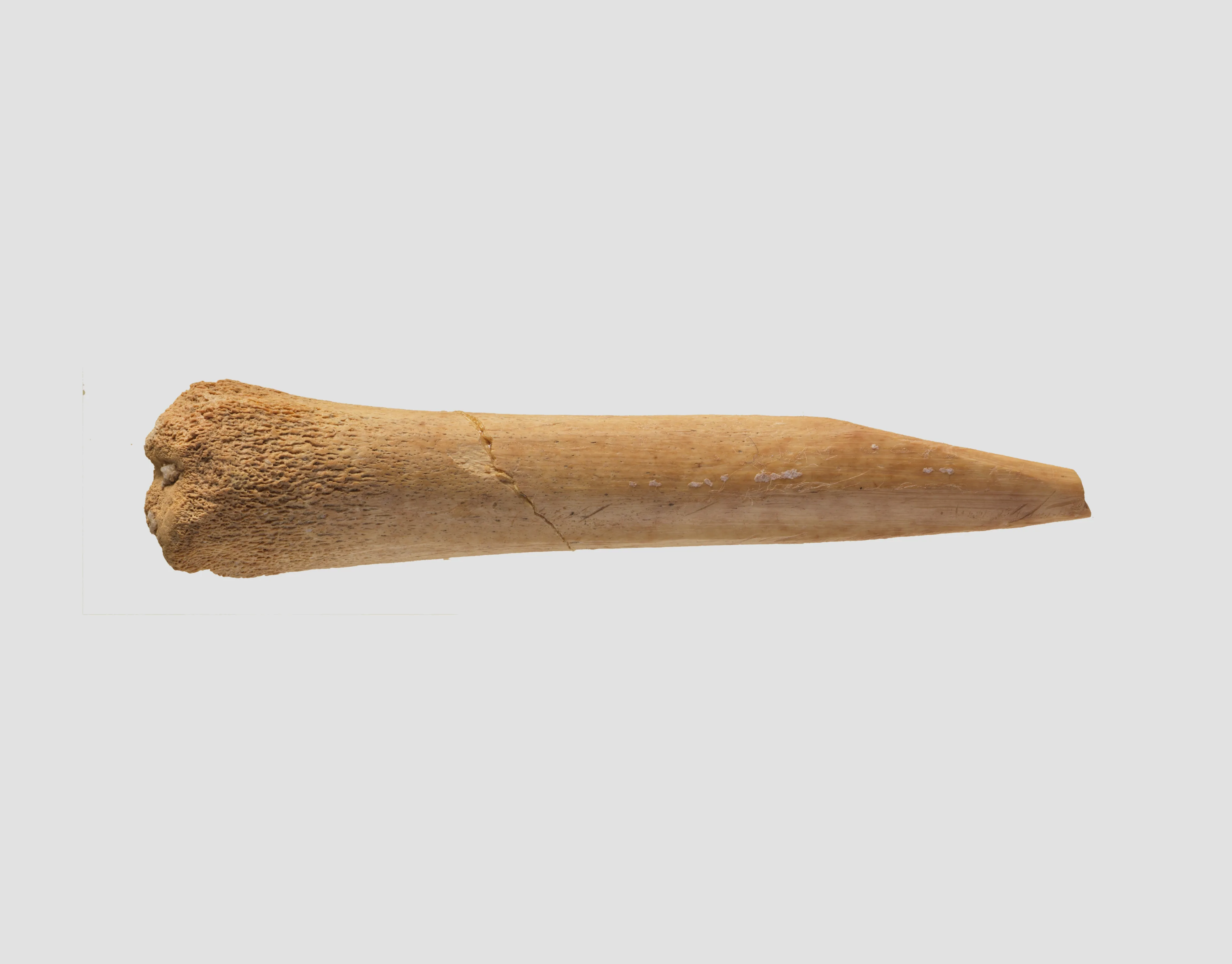 Awl (?) — Unknown