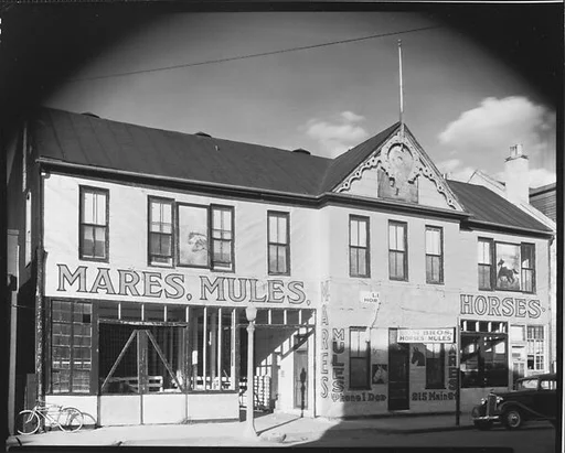 [Lum Brothers Stables with Parked Cars and Bicycle on Street, Natchez, Mississippi]