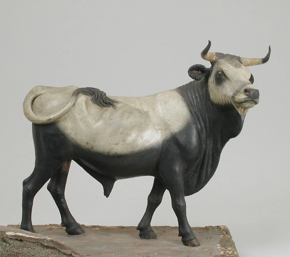 Bull — Unknown