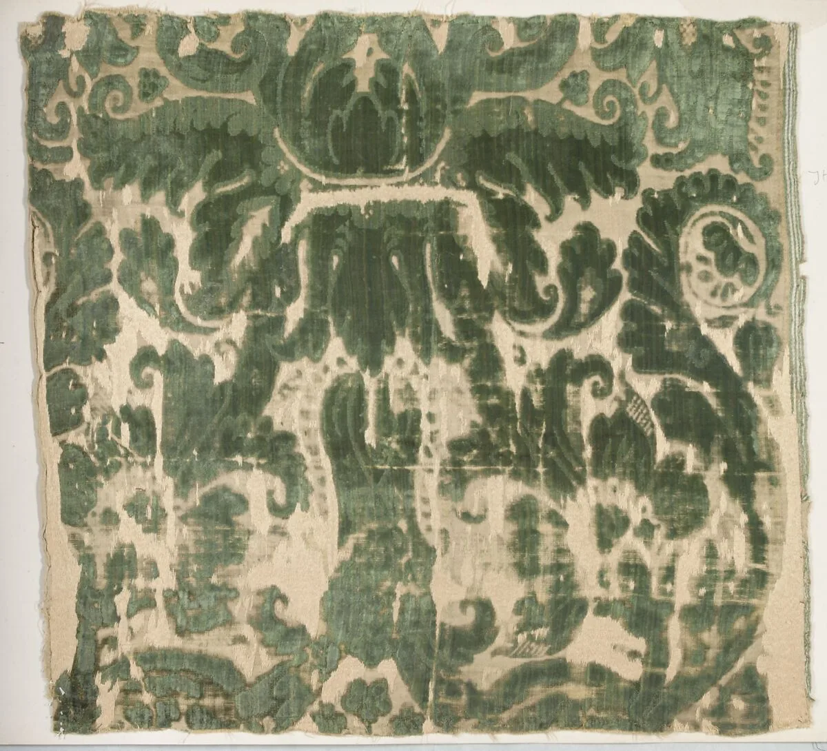 Fragment — Unknown