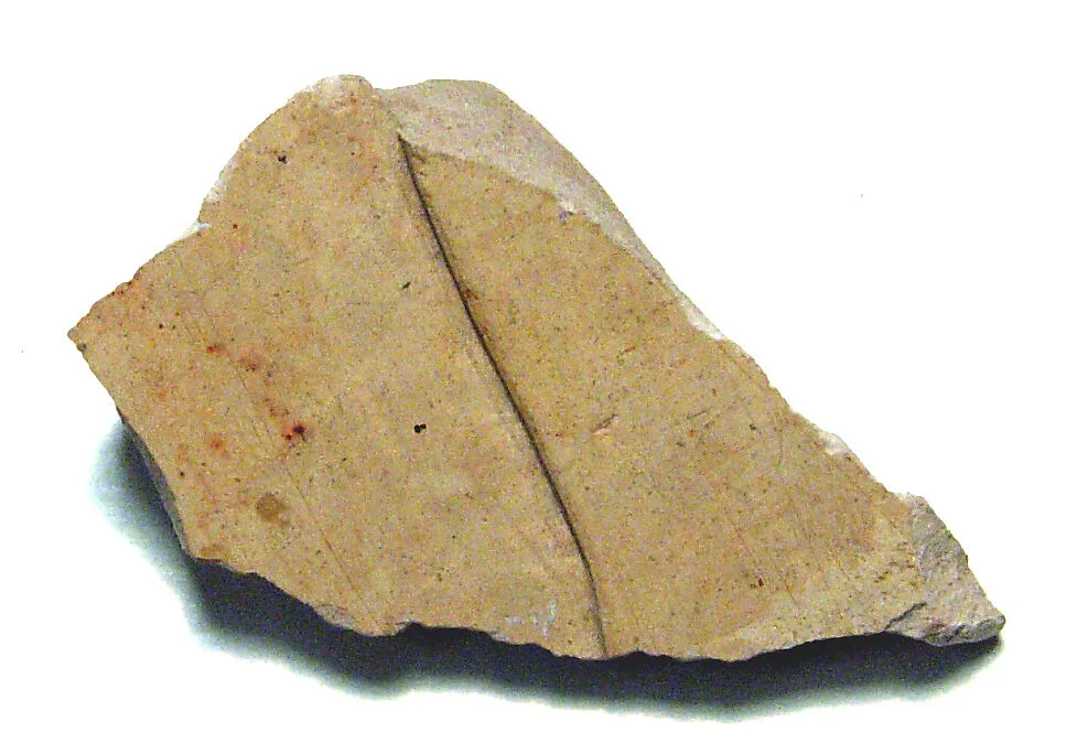 Raised relief fragment — Unknown