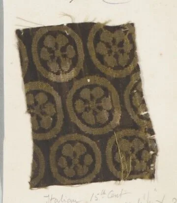 Fragment — Unknown