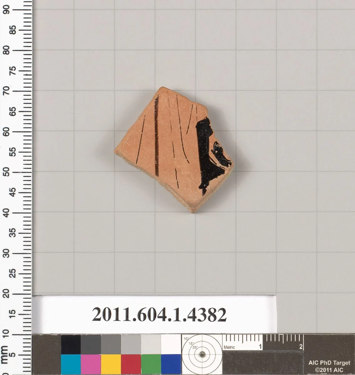 Terracotta fragment of a kylix (drinking cup) — Unknown