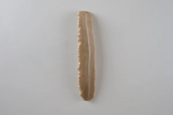 Sickle Insert — Unknown