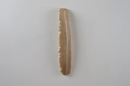 Sickle Insert