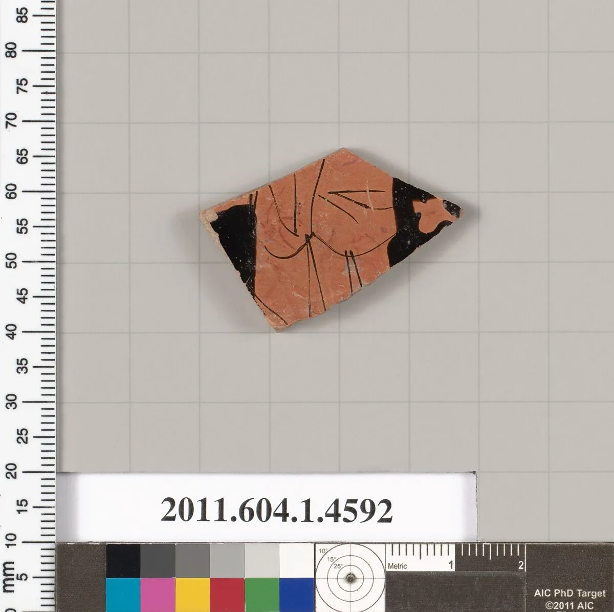 Terracotta fragment of a kylix (drinking cup) — Unknown