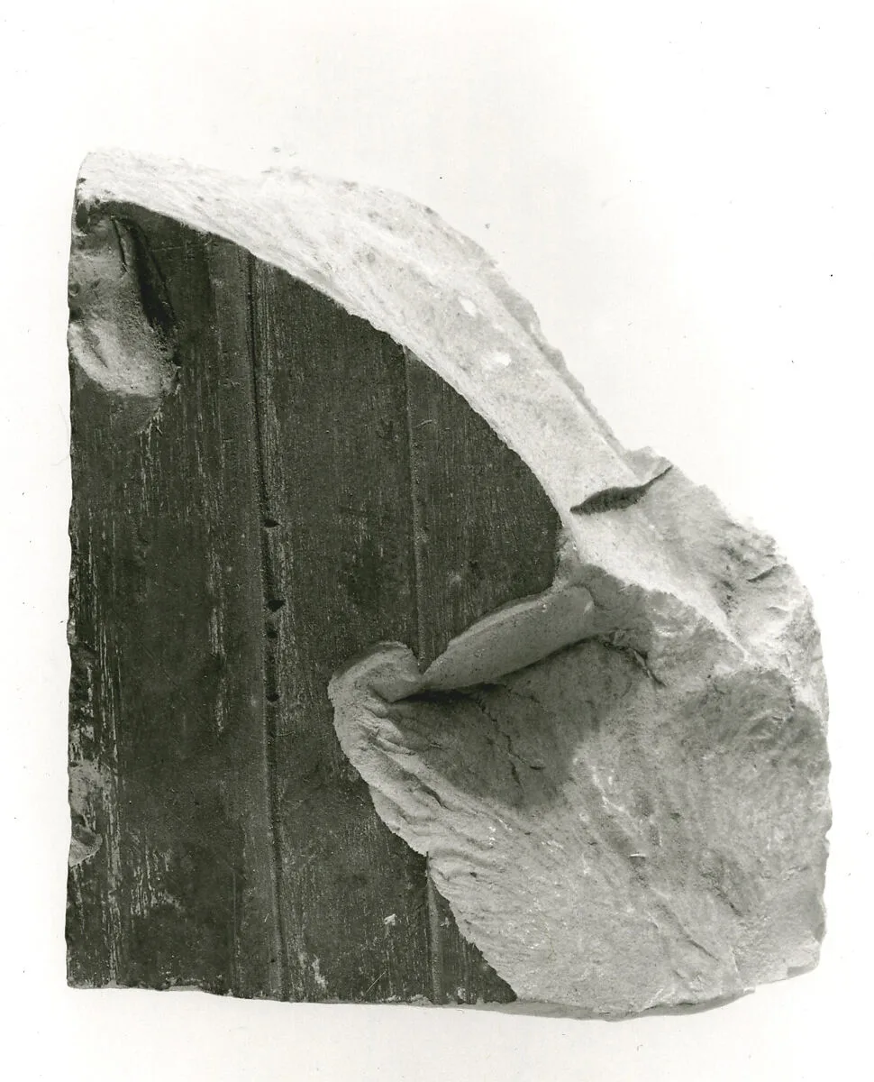 Raised relief fragment — Unknown