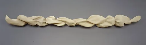 Spine