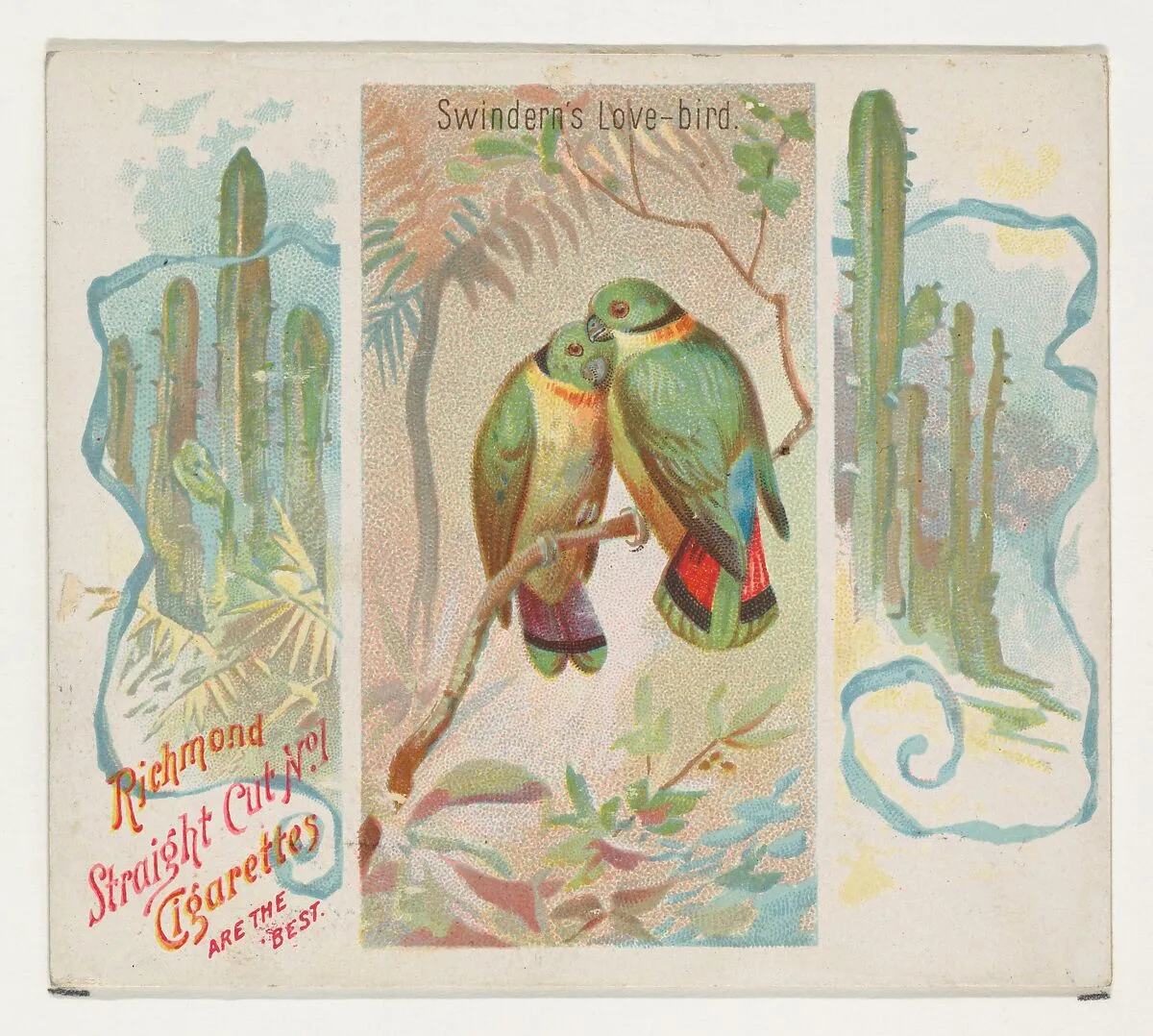 Swintern's Love-bird, from Birds of the Tropics series (N38) for Allen & Ginter Cigarettes — Allen & Ginter|George S. Harris & Sons