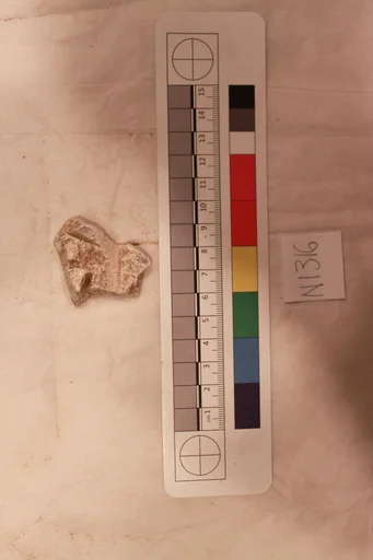 Stucco Fragment