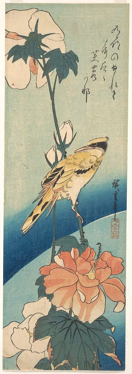 歌川広重画 扶養に高麗鶯|A Black-Naped Oriole on a Stem of Rose Mallow — Utagawa Hiroshige