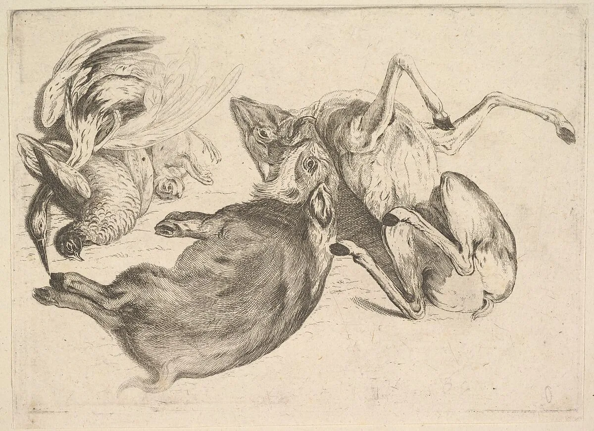 Boar, deer, heron and other game — Wenceslaus Hollar