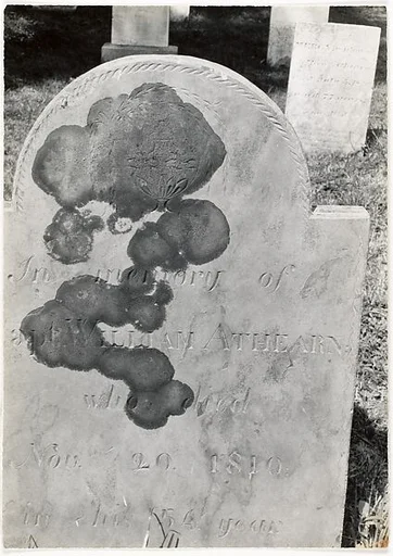 [Gravestone of William Athearn, Close Up]