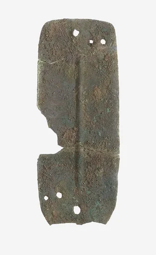 Scale from Armor