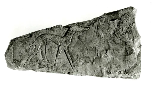 Sunk relief fragment