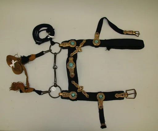 Bridle with Cloissone Mounts