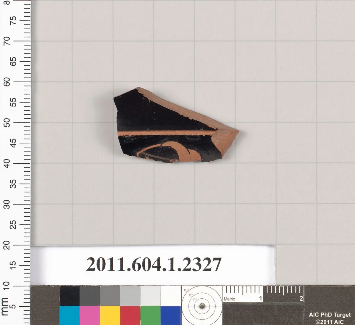 Terracotta fragment of a kylix (drinking cup) — Unknown