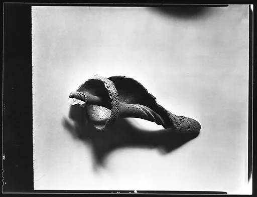 [Shell Study]