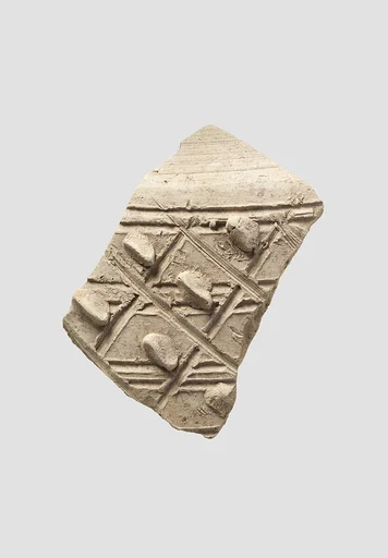 Sherd