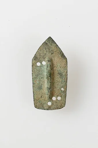 Armor scale