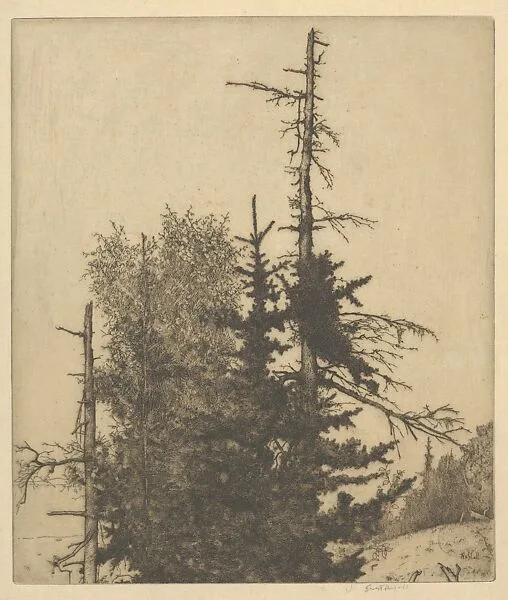 Dead Tops — Ernest Haskell