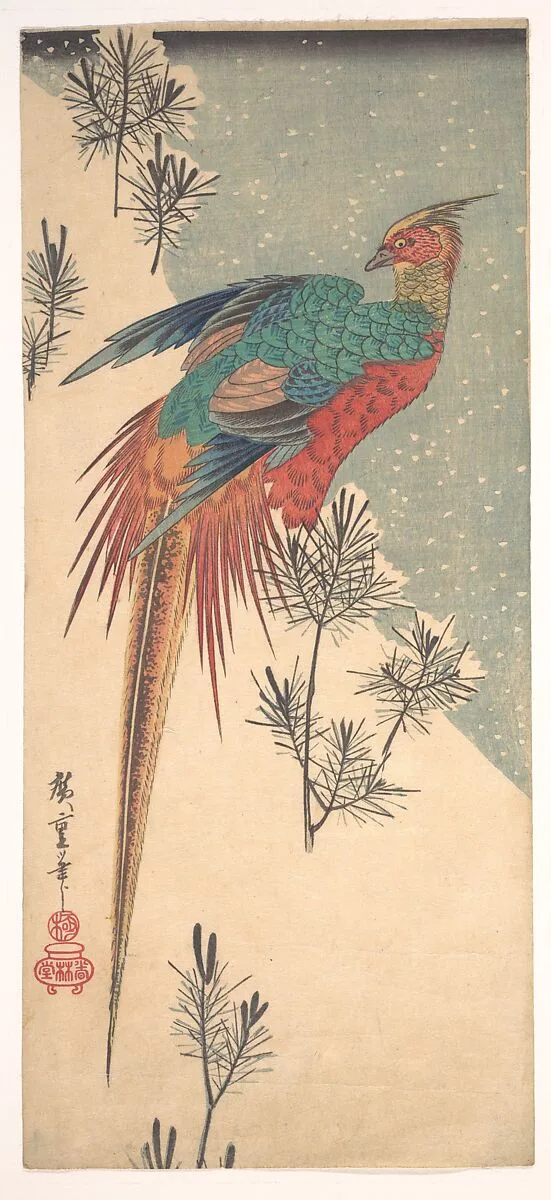 歌川広重画 雪中小松に錦雉|Golden Pheasant and Pine Shoots in Snow — Utagawa Hiroshige