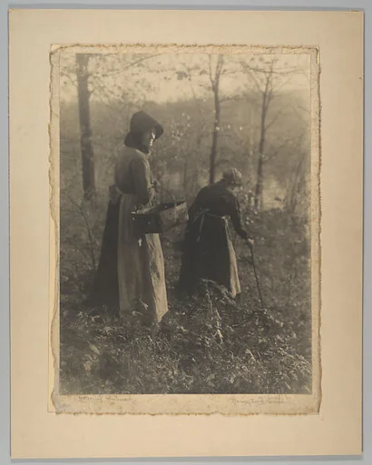 Gathering Mushrooms