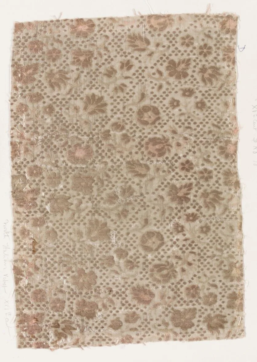 Fragment — Unknown