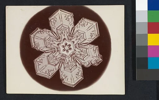 [Snow Crystal]