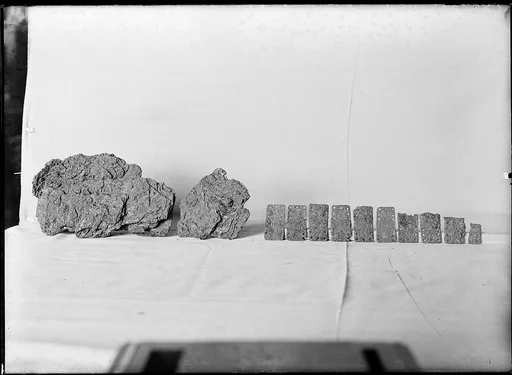 Armor Fragments of Scales from a Cuirass