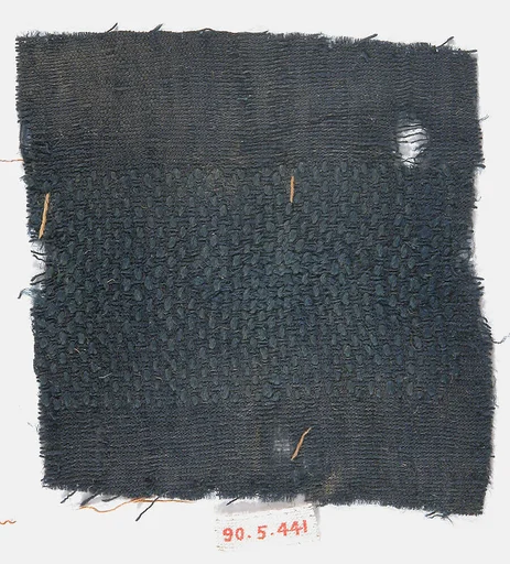 Textile Fragment
