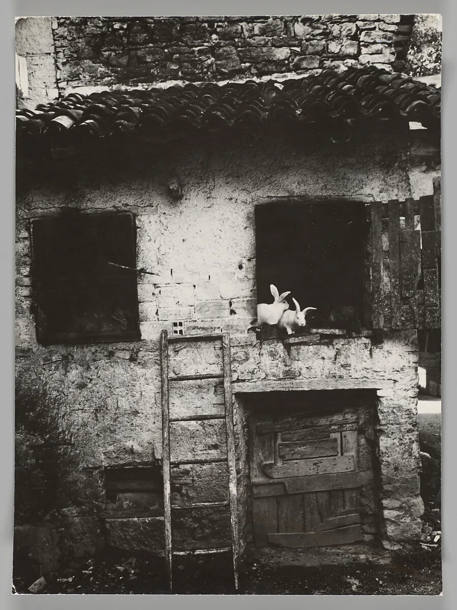 Rustico, Astrio di Breno — Eros Fiammetti