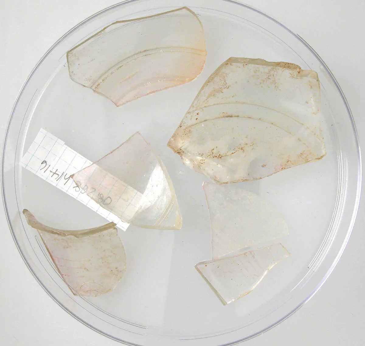 Glass Fragments — Unknown