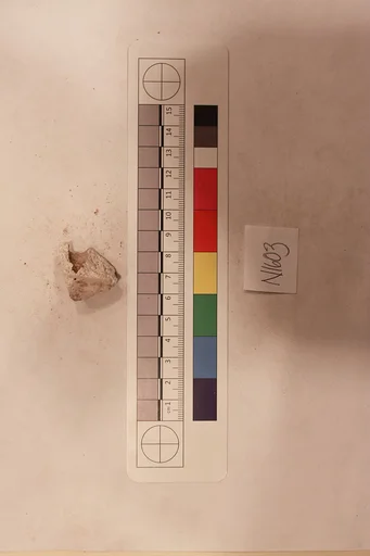 Stucco Fragment