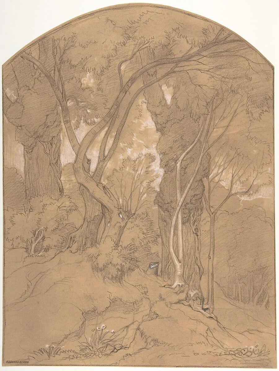 Trees in a Forest — Edouard Bertin