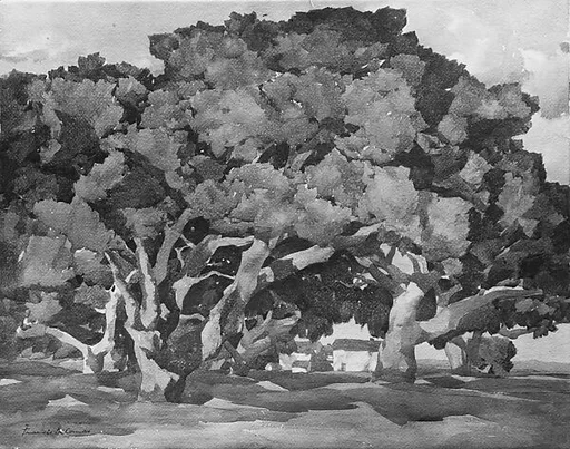 Landscape