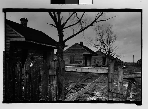 [Row of Wooden Houses Behind Gate, New Orleans Vicinity, Louisiana]