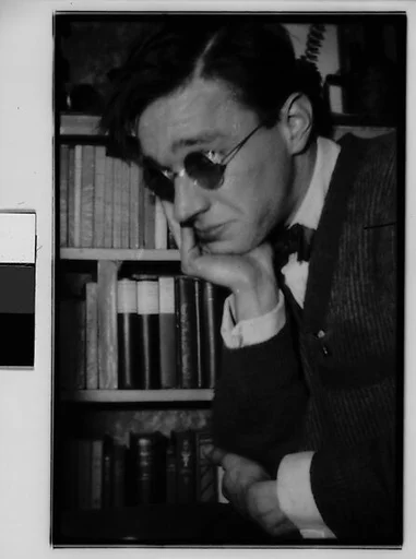 [Self-Portrait in Sunglasses Before Bookshelf, 48 Columbia Heights, Brooklyn, New York]