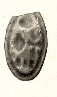 Ring bezel, Smenkhkare