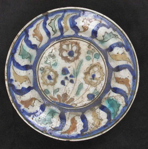 Dish