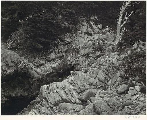 Point Lobos