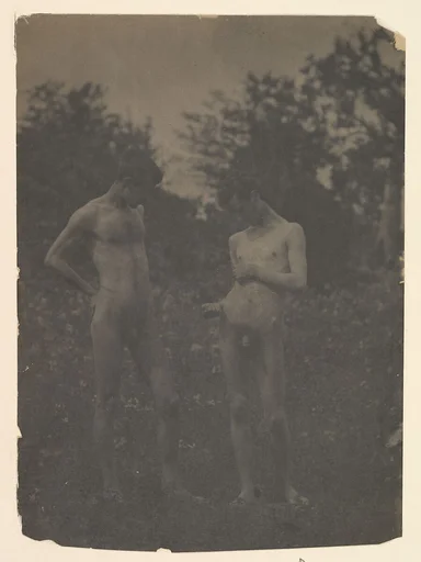 [Nude Men in the Garden]