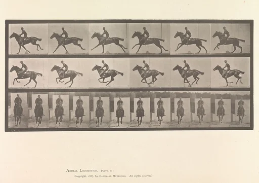 [Horse and Rider Galloping]