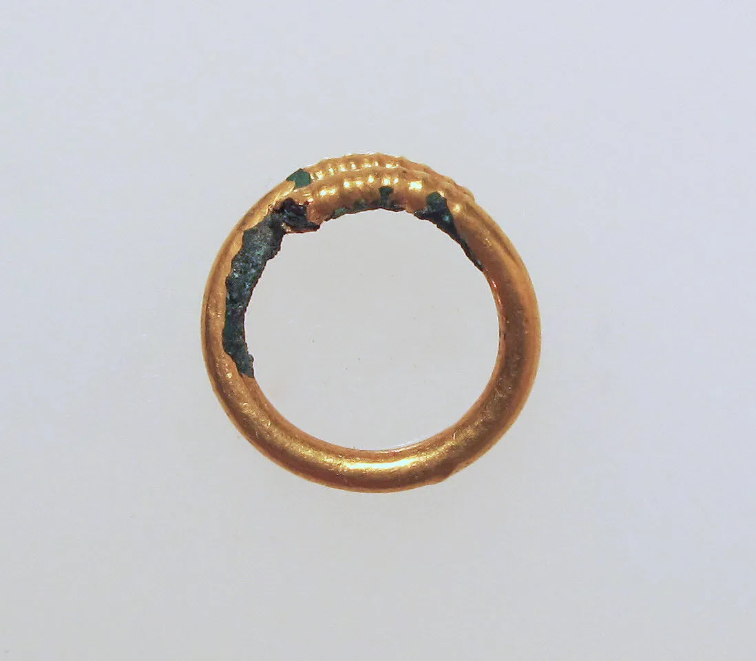 Earring or spiral — Unknown